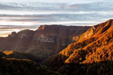 Puigsacalm tepesindeki sonbahar ormanı, La Garrotxa, İspanya.
