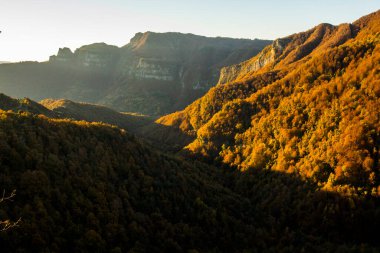 Puigsacalm tepesindeki sonbahar ormanı, La Garrotxa, İspanya.
