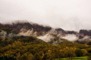 İspanya, La Garrotxa 'da sonbahar yağmurlu günü.