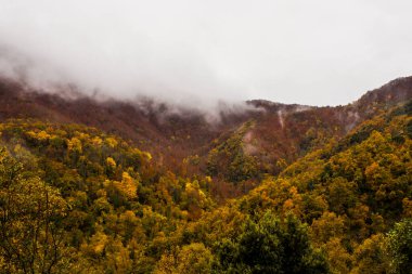 İspanya, La Garrotxa 'da sonbahar yağmurlu günü.