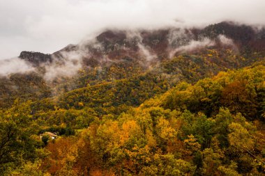 İspanya, La Garrotxa 'da sonbahar yağmurlu günü.