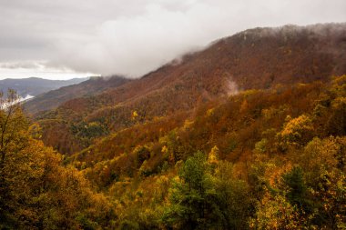 İspanya, La Garrotxa 'da sonbahar yağmurlu günü.