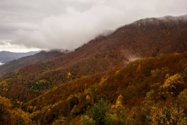 İspanya, La Garrotxa 'da sonbahar yağmurlu günü.