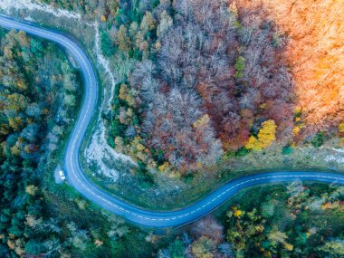 La Garrotxa, Girona 'da sonbahar yolu, Kuzey İspanya.