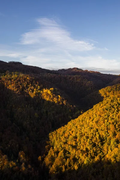 西班牙La Garrotxa Puigsacalm峰秋季森林 — 图库照片