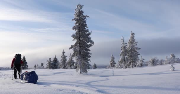 Skitour Pallas Yllastunturi Nationalpark Lappland Finnland — Stockvideo