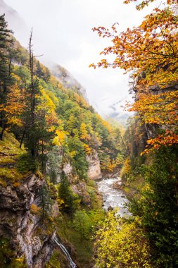 Sonbahar Ordesa ve Monte Perdido Ulusal Parkı, İspanya