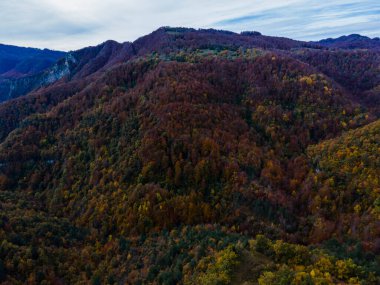 Puigsacalm Tepesi 'nde sonbahar manzarası, La Garrotxa, İspanya.