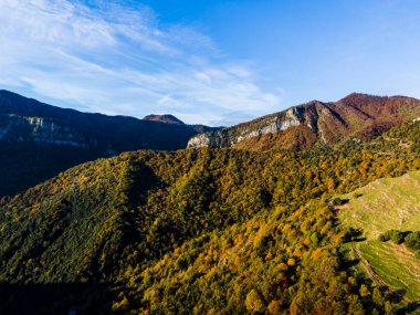 Puigsacalm Tepesi 'nde sonbahar manzarası, La Garrotxa, İspanya.