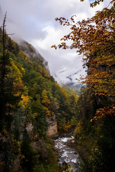 Herfst Ordesa Monte Perdido National Park Spanje — Stockfoto