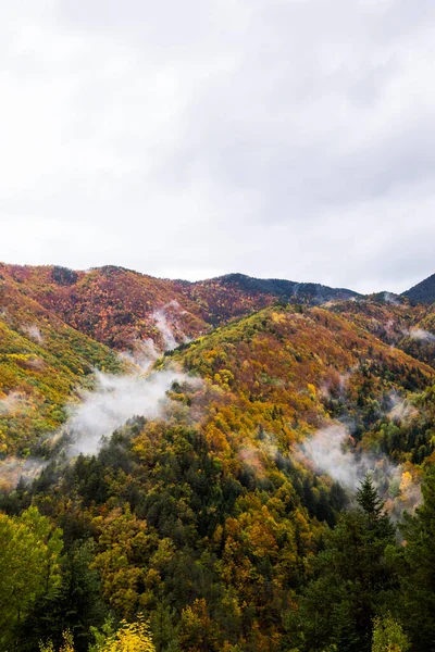 Podzim Národním Parku Ordesa Monte Perdido Španělsko — Stock fotografie