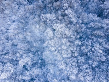 Kar yağışının manzarası Bracons, La Garrotxa, Girona, Kuzey İspanya.