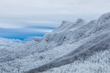 Winter snowfall in Collada De Bracons and Puigsacalm peak, La Garrotxa, Girona, northern Spain.