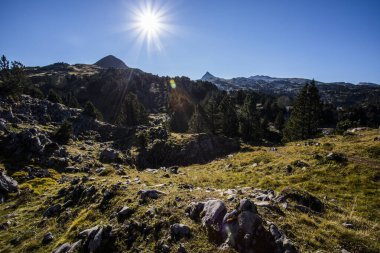 Summer landscape in the mountains of Navarra, Pyrenees, northern Spain