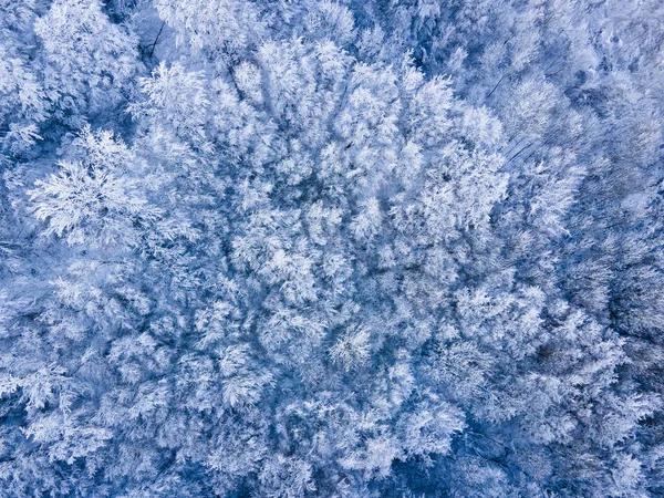Сцена Снегопада Браконе Гарротта Жирона Северная Испания — стоковое фото