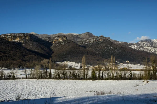 Winter Snowfall Vall Bas Puigsacalm Peak Garrotxa Girona Northern Spain — Stock fotografie