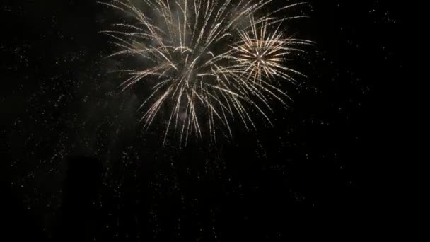 Olot Garrotxa カタロニア スペインの花火の夜 Uhd — ストック動画