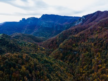 Puigsacalm Tepesi 'nde sonbahar manzarası, La Garrotxa, İspanya.