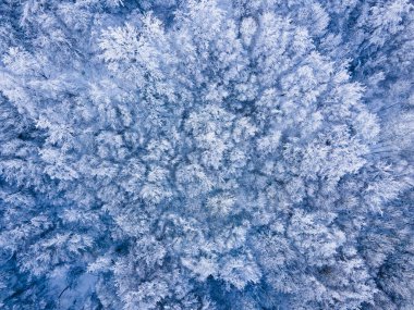 Kar yağışının manzarası Bracons, La Garrotxa, Girona, Kuzey İspanya.