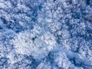 Kar yağışının manzarası Bracons, La Garrotxa, Girona, Kuzey İspanya.