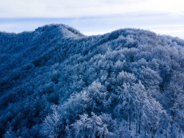 Kar yağışının manzarası Bracons, La Garrotxa, Girona, Kuzey İspanya.