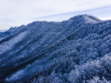 Kar yağışının manzarası Bracons, La Garrotxa, Girona, Kuzey İspanya.
