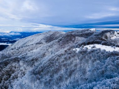 Puigsacalm Tepesi 'nde kar yağışı manzarası, La Garrotxa, Girona, Kuzey İspanya.