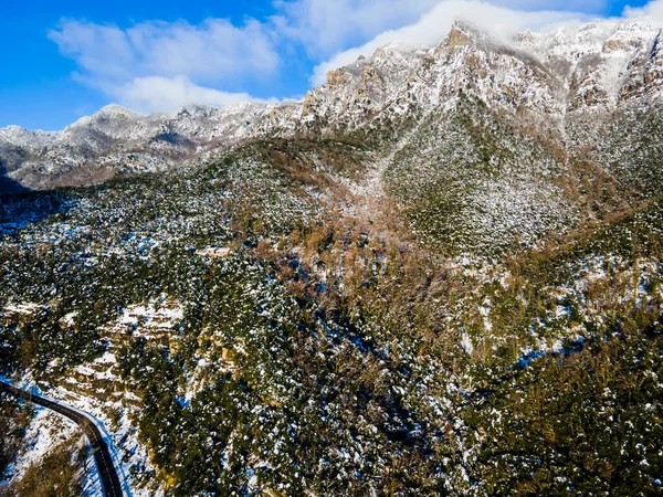 Stock image Scene of the snowfall in Puigsacalm Peak, La Garrotxa, Girona, northern Spain.