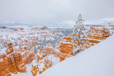 Kış manzarası Bryce Canyon Ulusal Parkı, Amerika Birleşik Devletleri