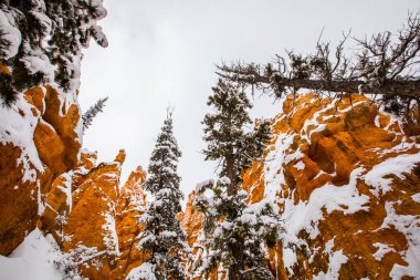Kış manzarası Bryce Canyon Ulusal Parkı, Amerika Birleşik Devletleri