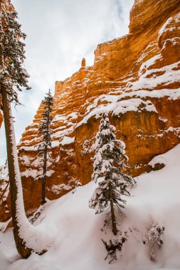 Kış manzarası Bryce Canyon Ulusal Parkı, Amerika Birleşik Devletleri