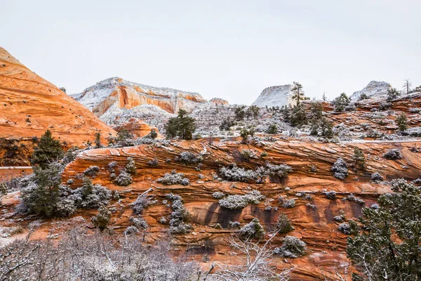 Paisagem Inverno Zion National Park Estados Unidos América — Fotografia de Stock