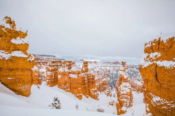 Krajobraz Zimowy Parku Narodowym Bryce Canyon Stany Zjednoczone Ameryki — Zdjęcie stockowe