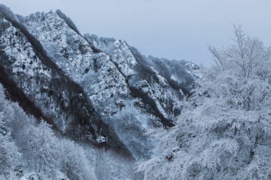 Winter snowfall in Collada De Bracons and Puigsacalm peak, La Garrotxa, Girona, northern Spain.
