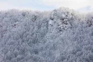 Winter snowfall in Collada De Bracons and Puigsacalm peak, La Garrotxa, Girona, northern Spain.