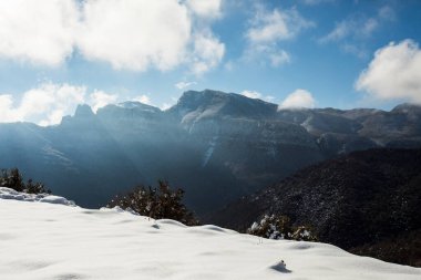 Winter snowfall in Puigsacalm peak, La Garrotxa, Girona, northern Spain.