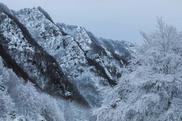 Зимний Снегопад Колладе Браконс Пике Пуигсакалм Гарротха Жирона Северная Испания — стоковое фото