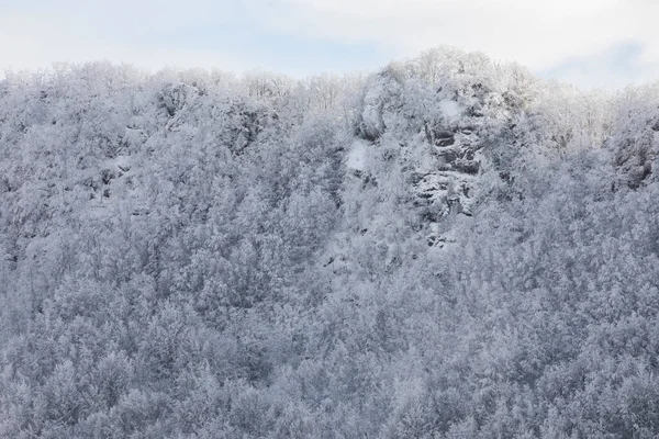 stock image Winter snowfall in Collada De Bracons and Puigsacalm peak, La Garrotxa, Girona, northern Spain.