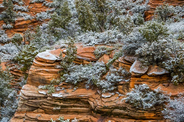 Paisaje Invernal Parque Nacional Zion Estados Unidos América — Foto de Stock
