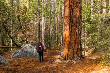 Yosemite Ulusal Parkı 'nda kışın geçirilen kız, Amerika Birleşik Devletleri