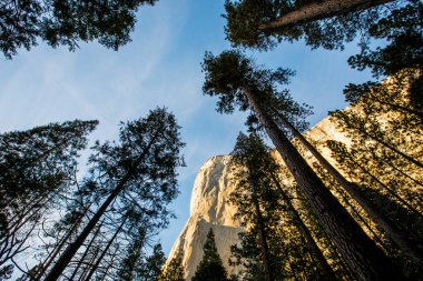 Yosemite Ulusal Parkı 'nda Kış, Amerika Birleşik Devletleri