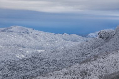 Winter snowfall in Collada De Bracons and Puigsacalm peak, La Garrotxa, Girona, northern Spain.