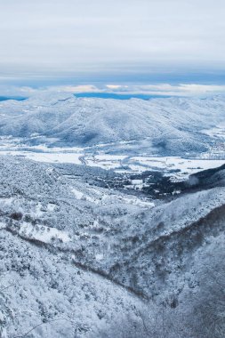 Winter snowfall in Collada De Bracons and Puigsacalm peak, La Garrotxa, Girona, northern Spain.