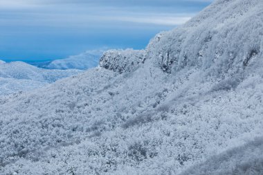 Winter snowfall in Collada De Bracons and Puigsacalm peak, La Garrotxa, Girona, northern Spain.