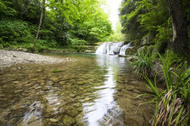 La Garrotxa 'da bahar şelalesi, Girona, Kuzey İspanya.