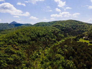 La Garrotxa, İspanya 'da bahar manzarası.