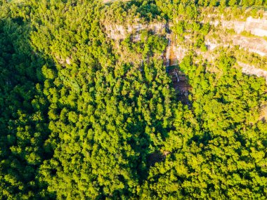 La Vall D En Bas, La Garrotxa, İspanya 'da İlkbahar.