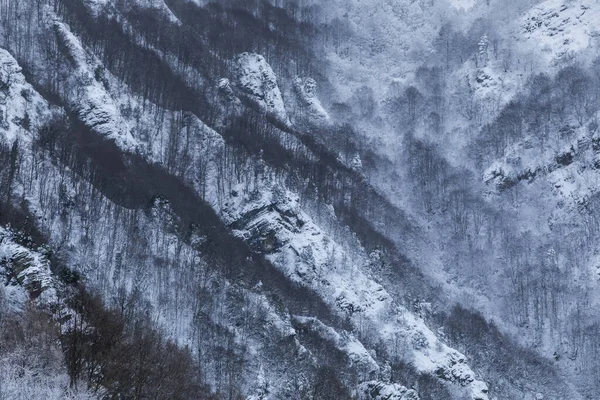 Winter Snowfall Collada Bracons Puigsacalm Peak Garrotxa Girona Northern Spain — Fotografia de Stock