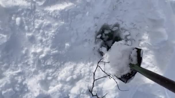 Mann Sammelt Wasser Aus Einem Loch Einem Zugefrorenen See Pallas — Stockvideo