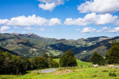 Summer landscape in the mountains of Navarra, Pyrenees, northern Spain